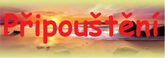 připou.mayiaa